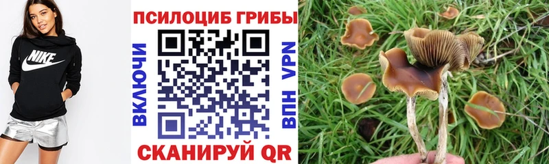 где продают наркотики  Качканар  Псилоцибиновые грибы прущие грибы 