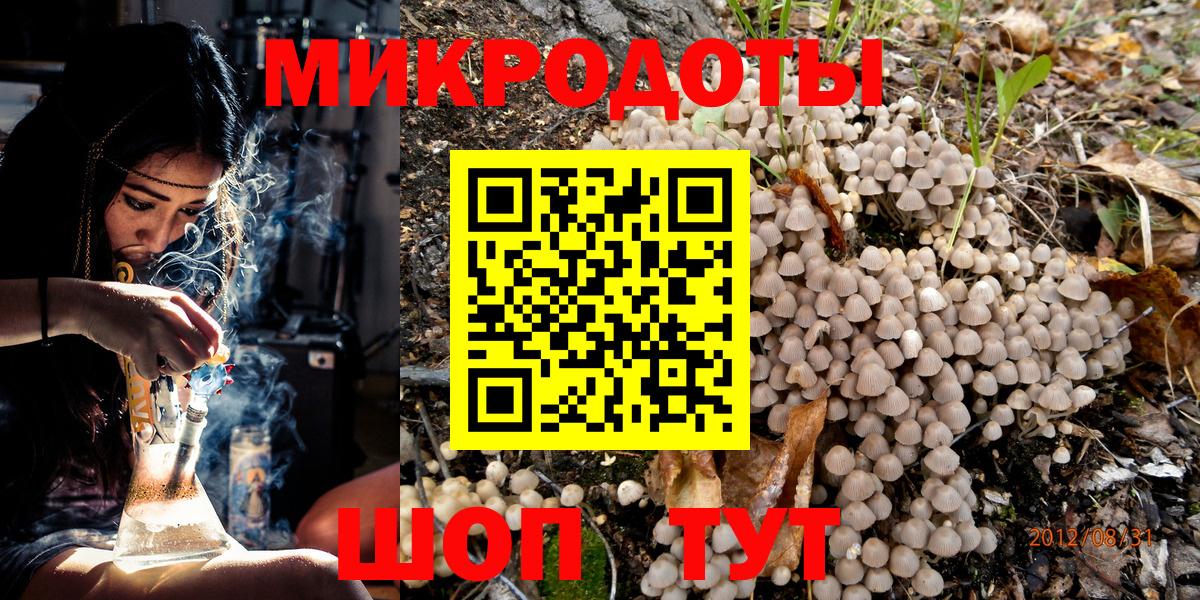 Качканар  Псилоцибиновые грибы GOLDEN TEACHER  Галлюциногенные грибы GOLDEN TEACHER  Вход с VPN 