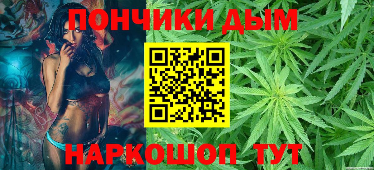 Шишки марихуана конопля Качканар